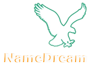 NameDream.com 