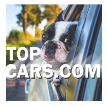 TopCars.com